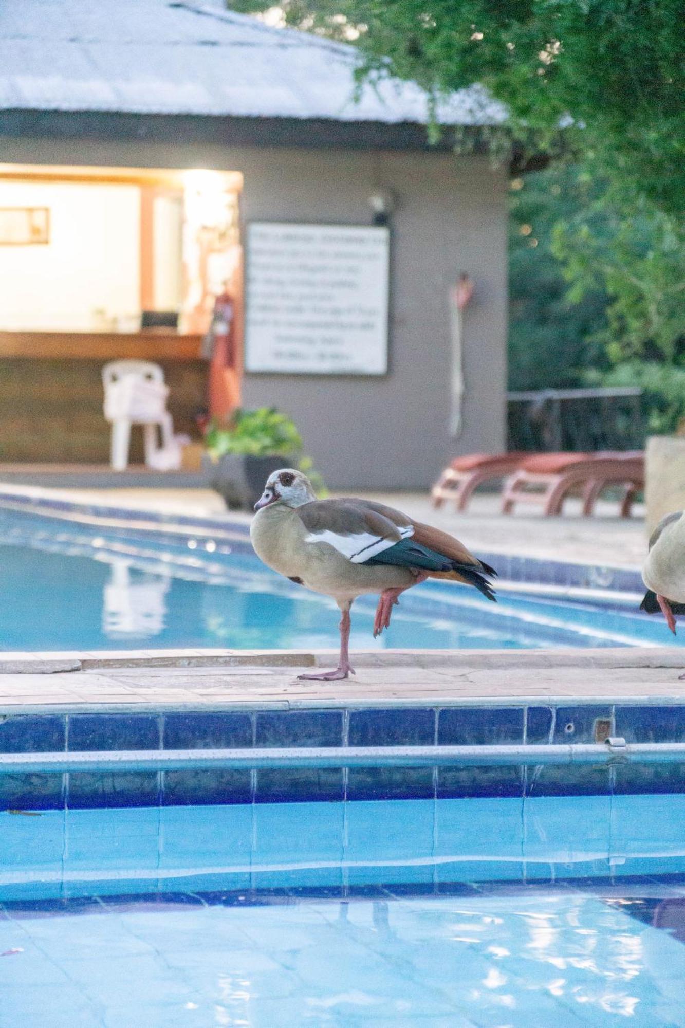 Lukenya Getaway Hotel Athi River Ngoại thất bức ảnh