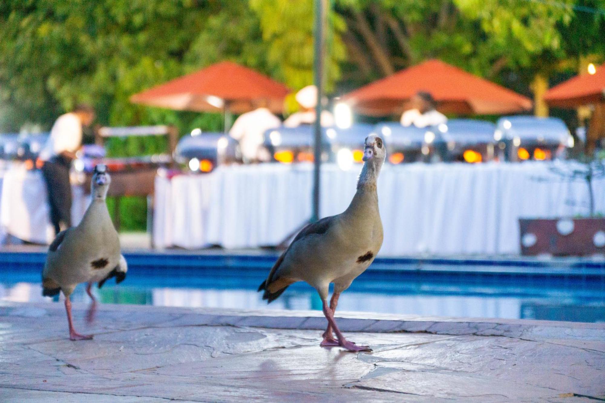 Lukenya Getaway Hotel Athi River Ngoại thất bức ảnh