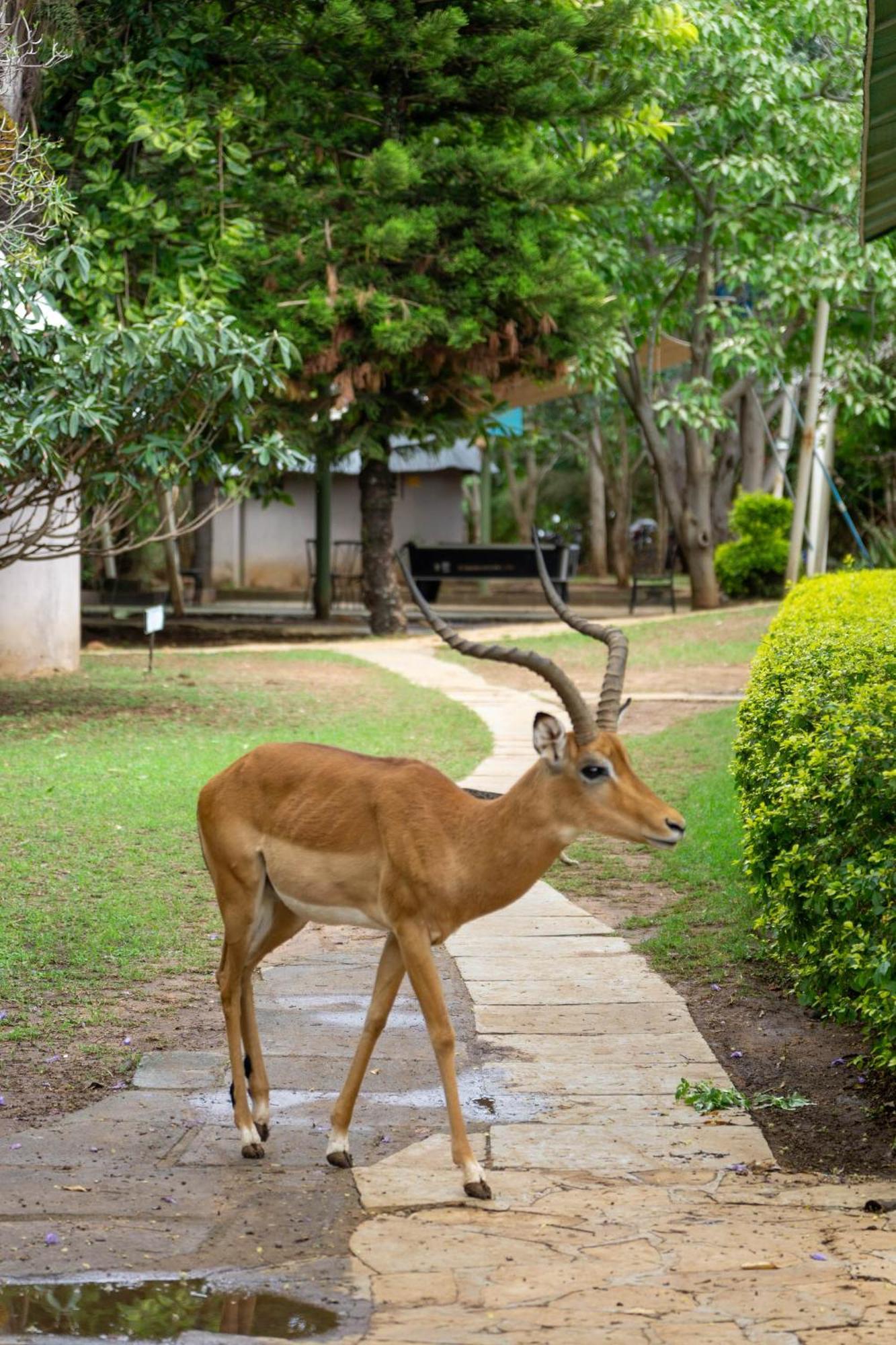 Lukenya Getaway Hotel Athi River Ngoại thất bức ảnh